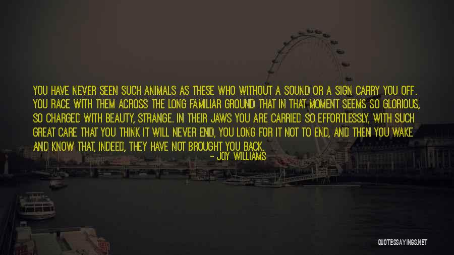 Devar Magan Quotes By Joy Williams Devar Magan Quotes By Joy Williams