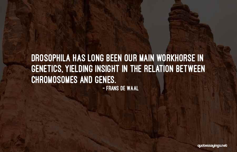 Devaram Mp3 Quotes By Frans De Waal Devaram Mp3 Quotes By Frans De Waal