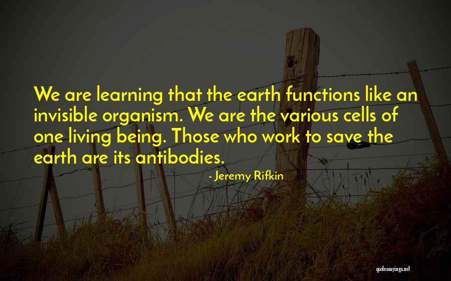 Devastado Definicion Quotes By Jeremy Rifkin Devastado Definicion Quotes By Jeremy Rifkin