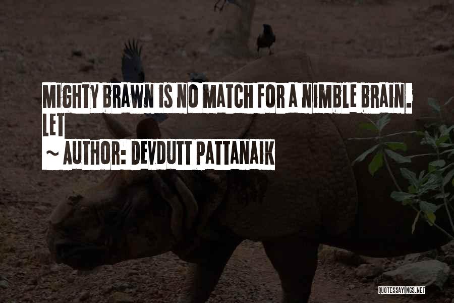 Devdutt Pattanaik Quotes 1482925