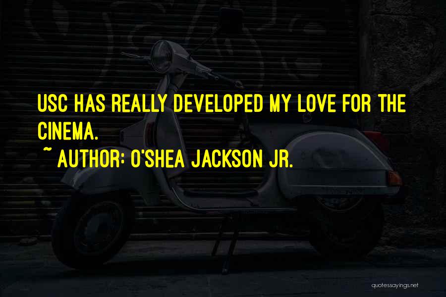 Developed Love Quotes By O'Shea Jackson Jr.