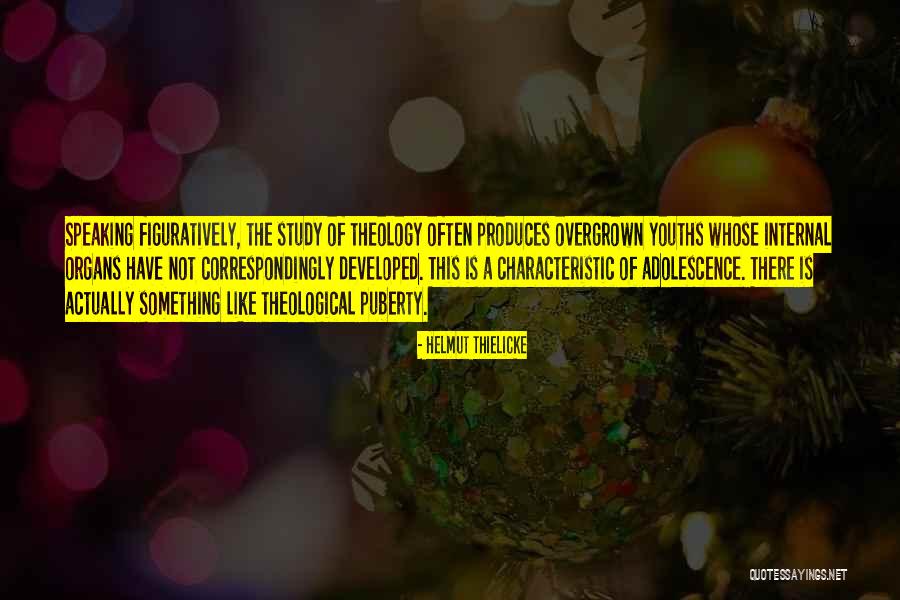 Developed Quotes By Helmut Thielicke Developed Quotes By Helmut Thielicke