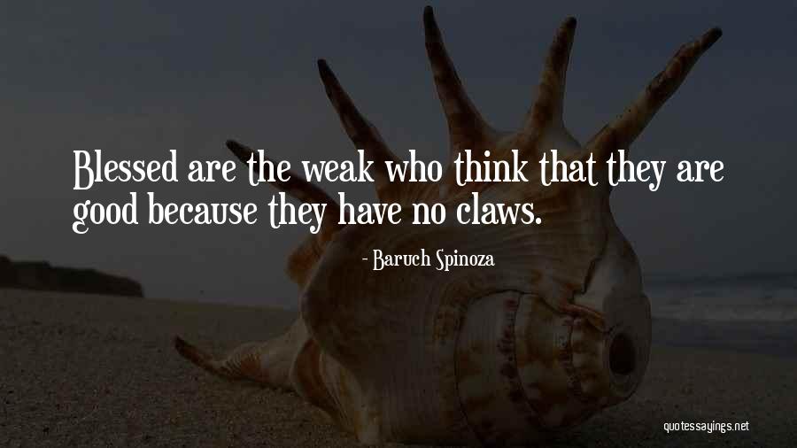Developerauction Quotes By Baruch Spinoza Developerauction Quotes By Baruch Spinoza