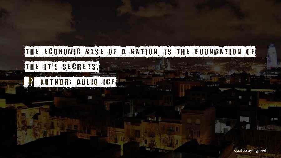 Developing Countries Quotes By Auliq Ice