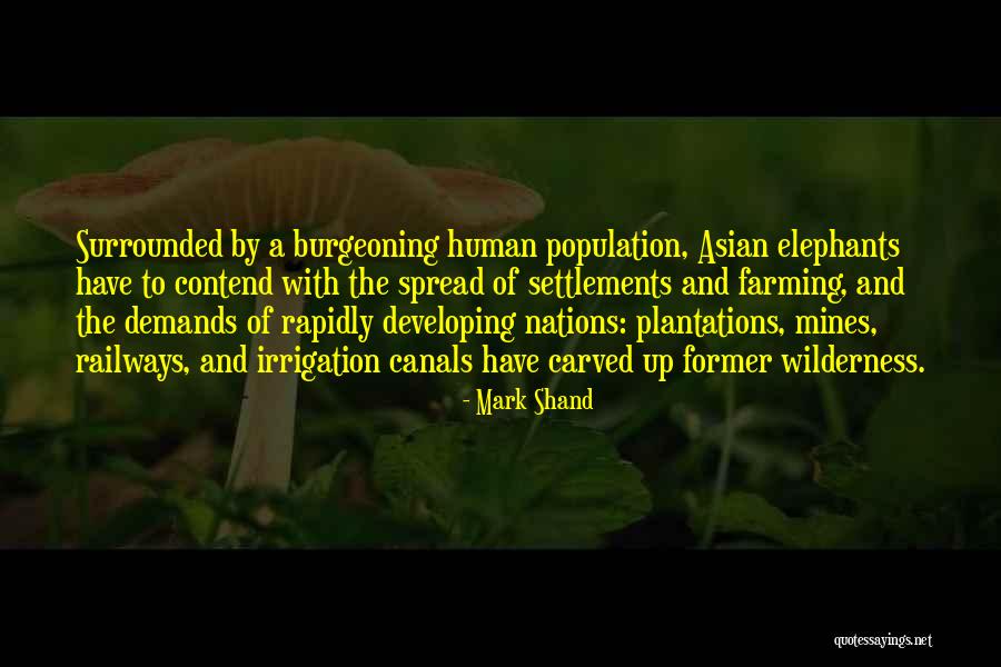 Developing Nations Quotes By Mark Shand