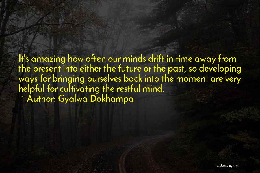 Developing The Mind Quotes By Gyalwa Dokhampa