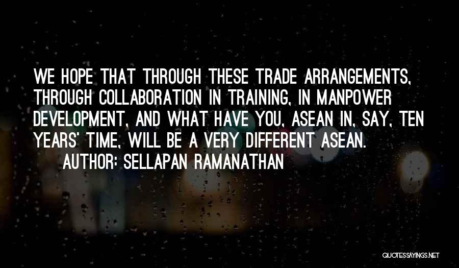 Development And Training Quotes By Sellapan Ramanathan