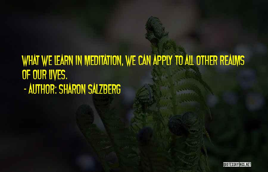 Development And Training Quotes By Sharon Salzberg