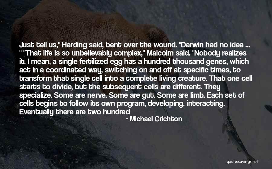 Development From A Fertilized Quotes By Michael Crichton Development From A Fertilized Quotes By Michael Crichton