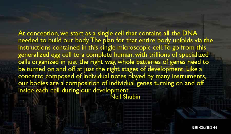 Development From Conception Quotes By Neil Shubin Development From Conception Quotes By Neil Shubin