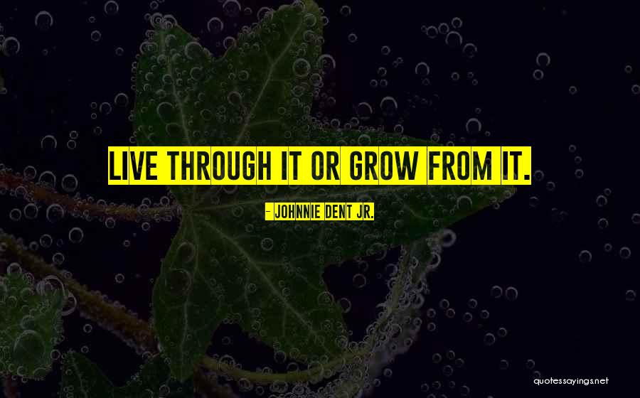 Development From Quotes By Johnnie Dent Jr. Development From Quotes By Johnnie Dent Jr.