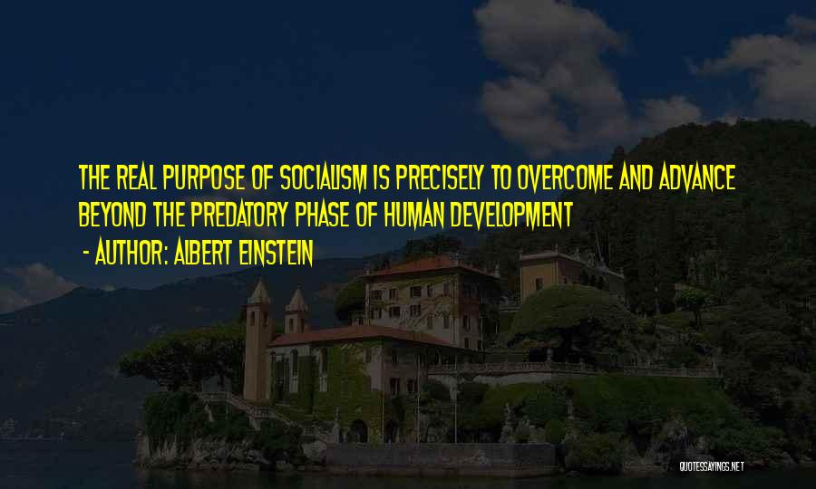 Development Of Human Quotes By Albert Einstein