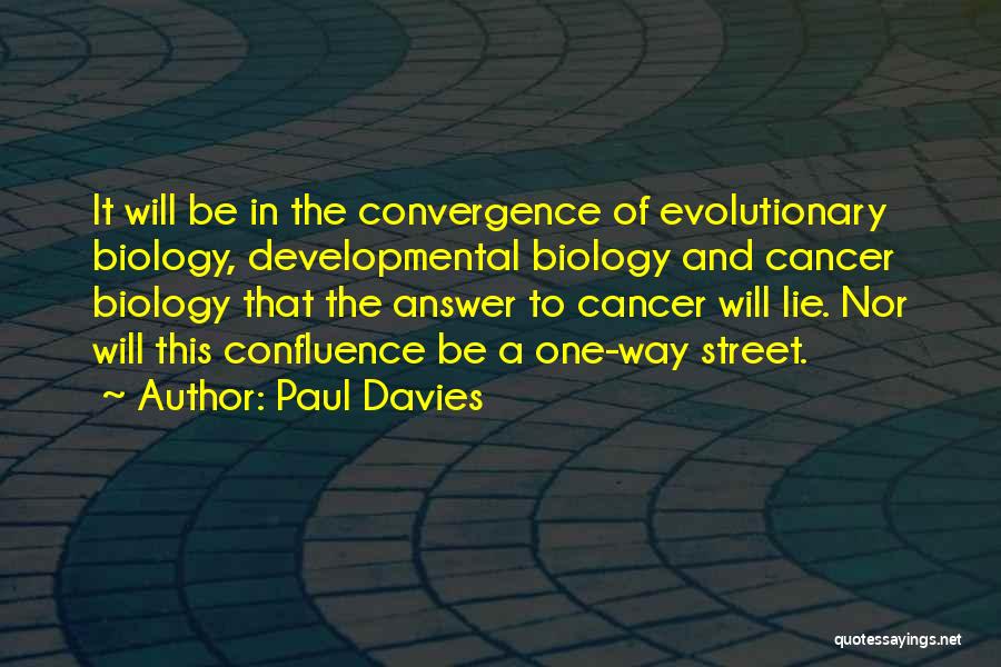 Developmental Biology Quotes By Paul Davies