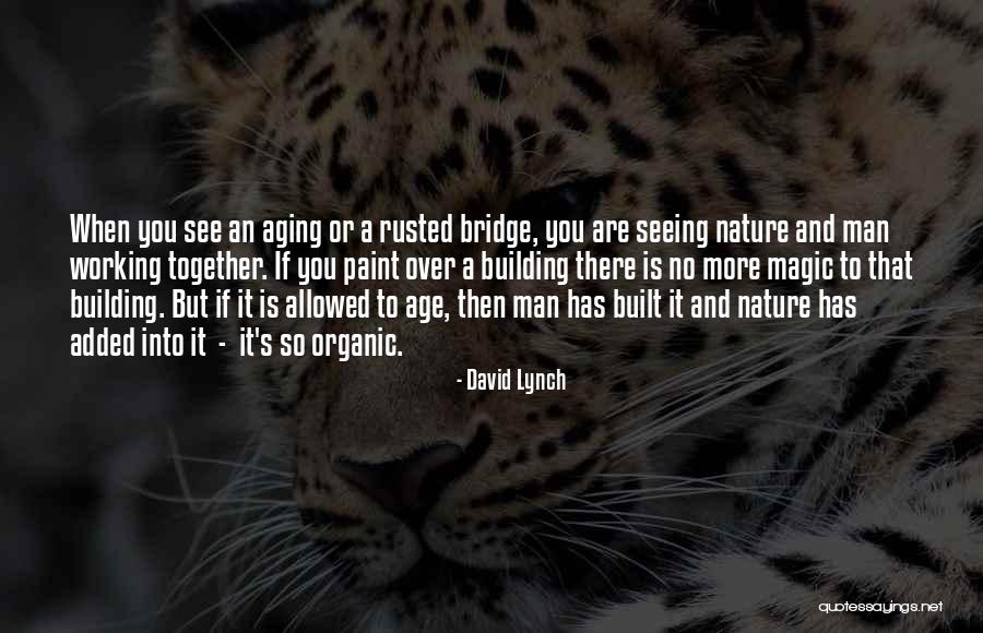Devenie Graham Quotes By David Lynch Devenie Graham Quotes By David Lynch