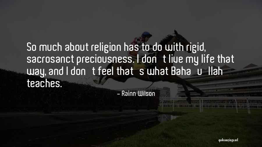 Devericks Quotes By Rainn Wilson Devericks Quotes By Rainn Wilson