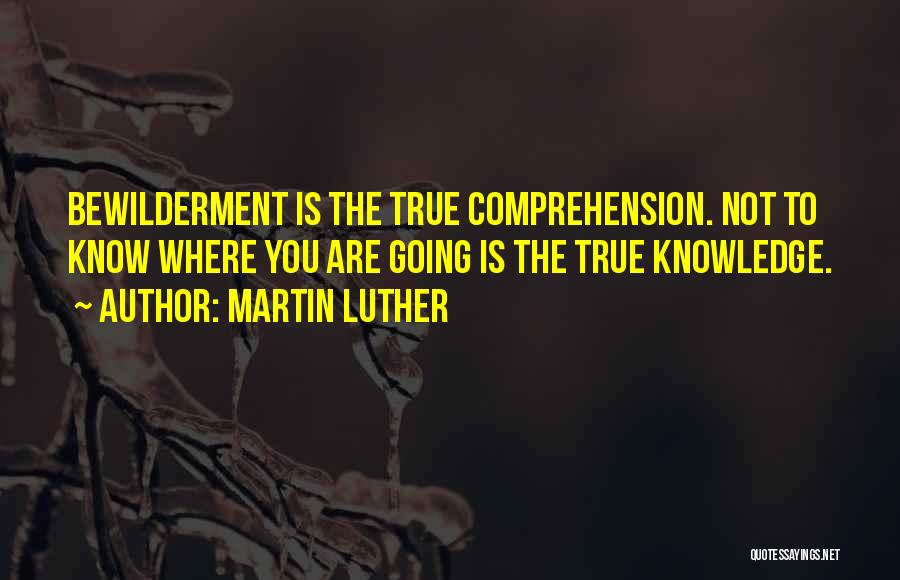 Deverry Characters Quotes By Martin Luther