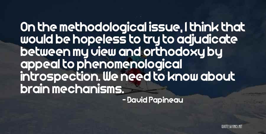 Devido Em Quotes By David Papineau Devido Em Quotes By David Papineau