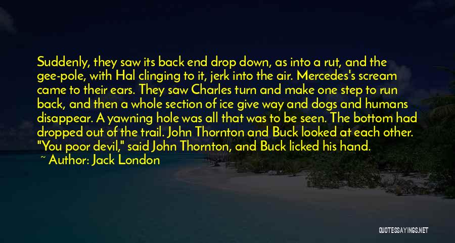 Devil Get Off My Back Quotes By Jack London