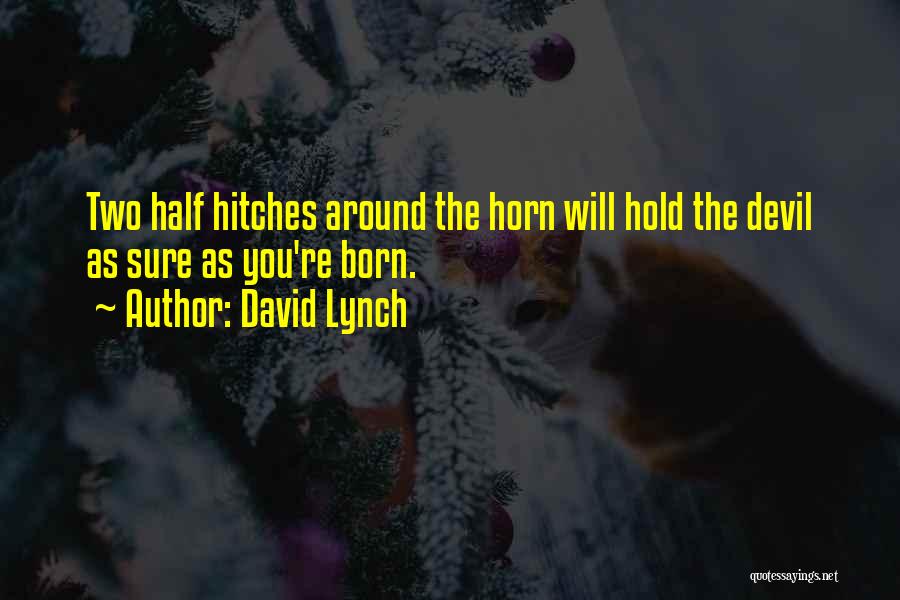 Devil Horn Quotes By David Lynch