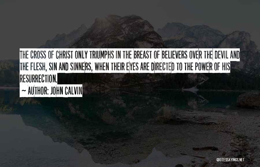 Devil In My Eyes Quotes By John Calvin