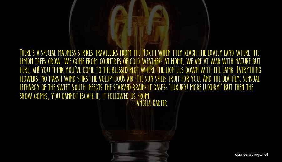 Devil In Us Quotes By Angela Carter Devil In Us Quotes By Angela Carter