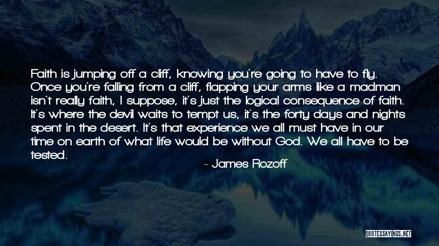 Devil In Us Quotes By James Rozoff