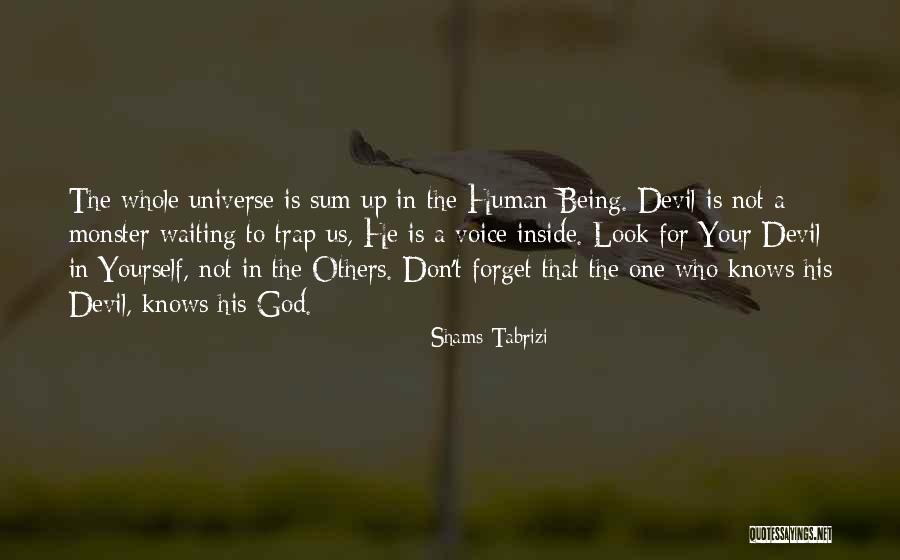 Devil Inside Me Quotes By Shams Tabrizi