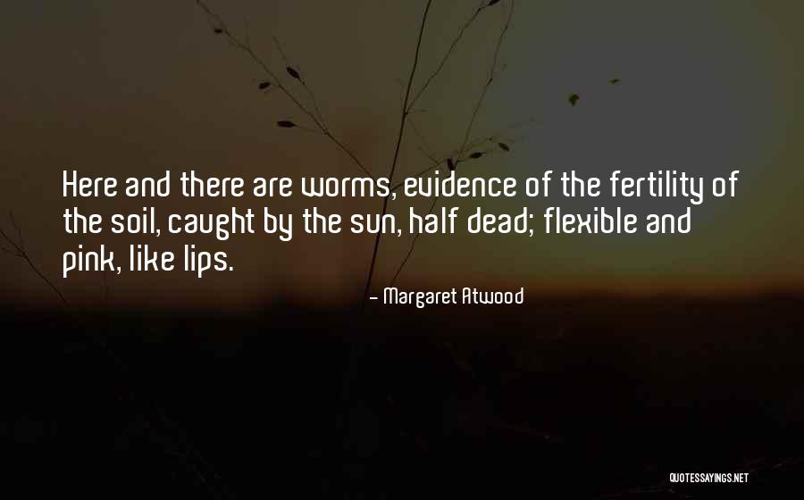 Devil May Cry 3 Vergil Quotes By Margaret Atwood Devil May Cry 3 Vergil Quotes By Margaret Atwood