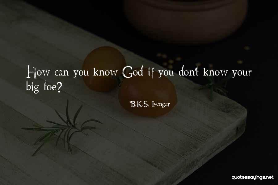 Devillier Truck Quotes By B.K.S. Iyengar