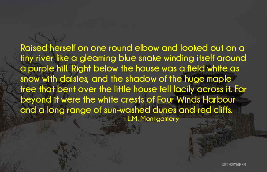 Devilment Tour Quotes By L.M. Montgomery Devilment Tour Quotes By L.M. Montgomery