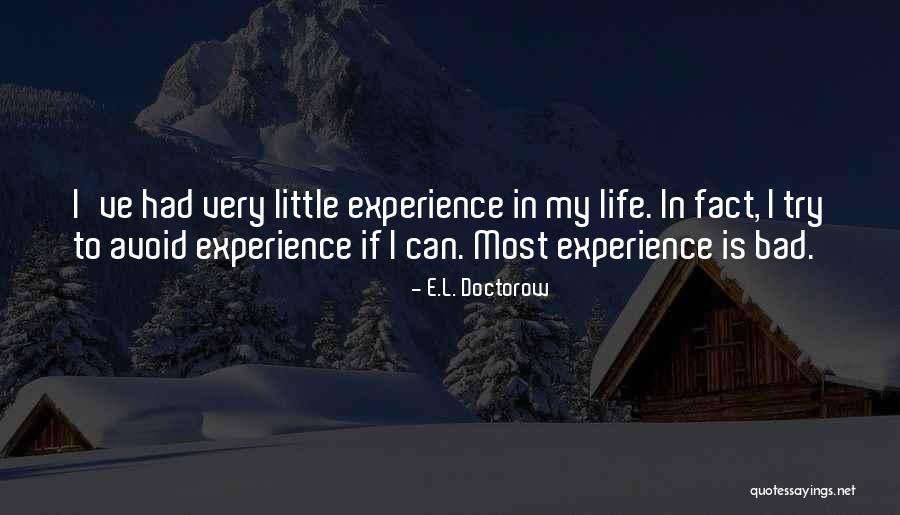 Devincenzo Consulting Quotes By E.L. Doctorow