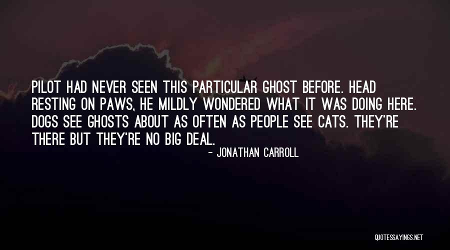 Devine Feminine Quotes By Jonathan Carroll Devine Feminine Quotes By Jonathan Carroll
