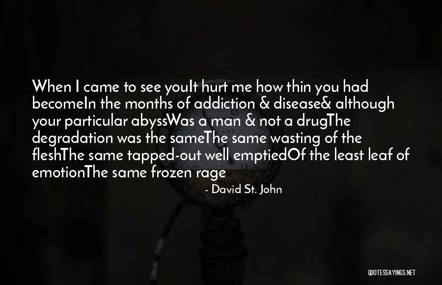 Devisa Itu Quotes By David St. John Devisa Itu Quotes By David St. John