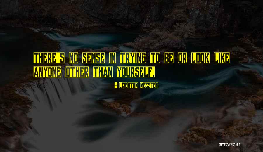 Devlynne Shannon Quotes By Leighton Meester Devlynne Shannon Quotes By Leighton Meester
