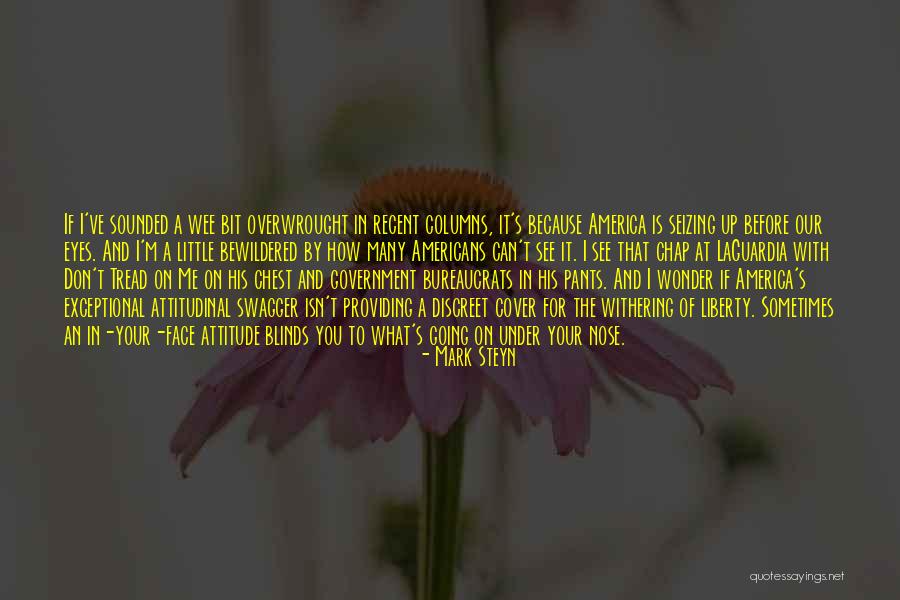 Devnetjobsindia Quotes By Mark Steyn Devnetjobsindia Quotes By Mark Steyn