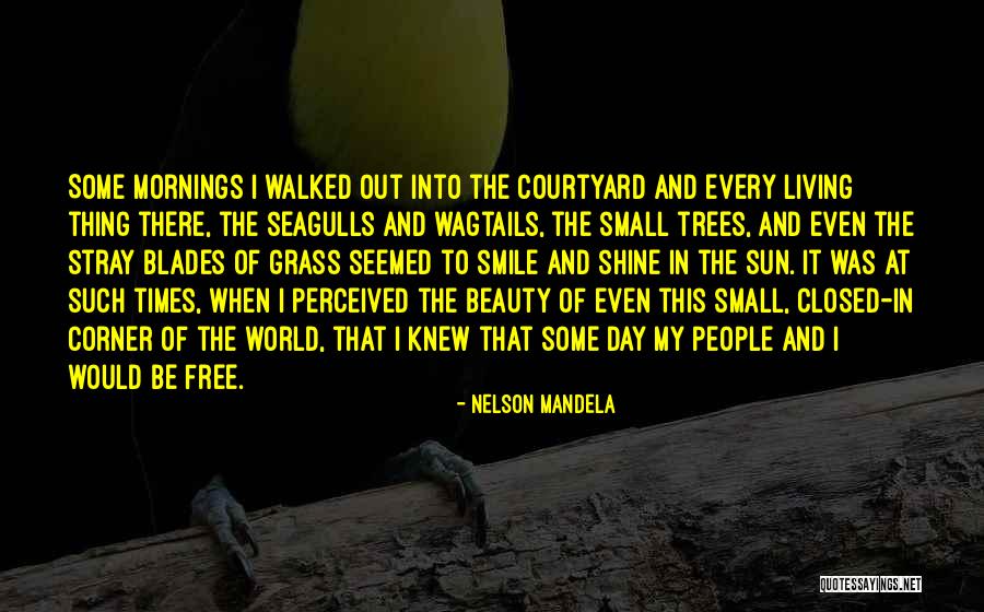 Devoirs College Quotes By Nelson Mandela Devoirs College Quotes By Nelson Mandela