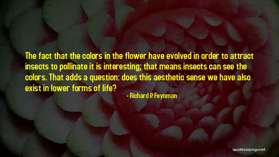 Devolves Into A Racket Quotes By Richard P. Feynman Devolves Into A Racket Quotes By Richard P. Feynman