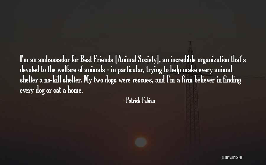 Devoted Dog Quotes By Patrick Fabian