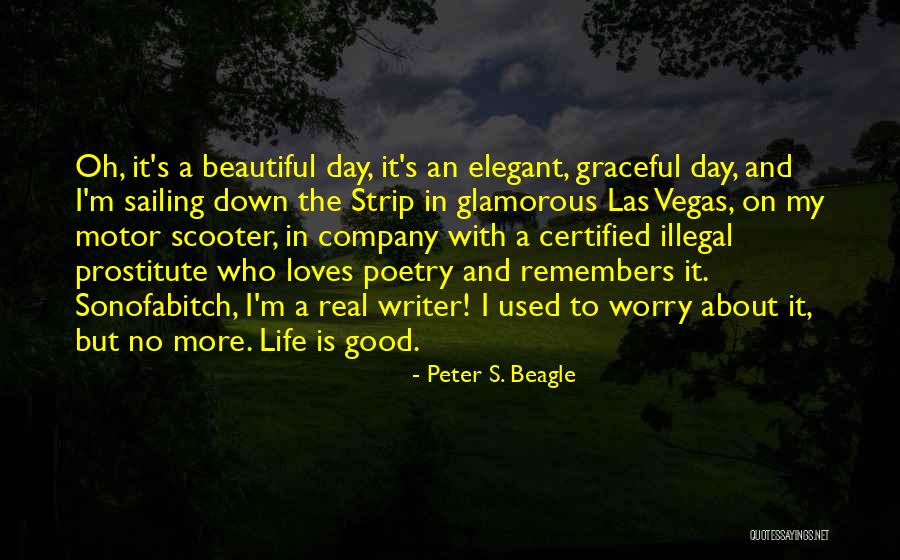 Devoted Reader Quotes By Peter S. Beagle Devoted Reader Quotes By Peter S. Beagle
