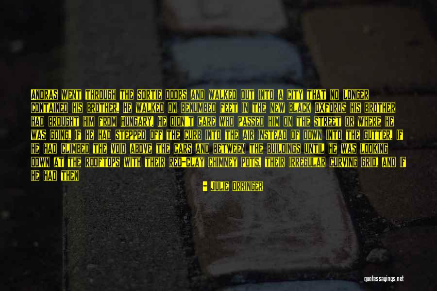 Devotos Quotes By Julie Orringer Devotos Quotes By Julie Orringer