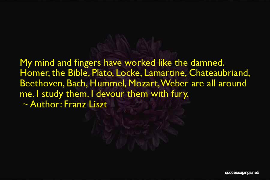 Devour Me Quotes By Franz Liszt