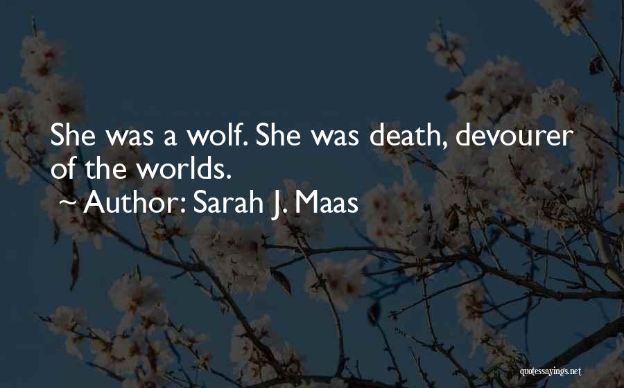 Devourer Quotes By Sarah J. Maas