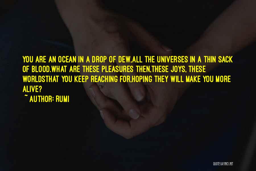 Dew Drop Quotes By Rumi