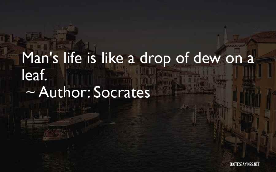 Dew Drop Quotes By Socrates