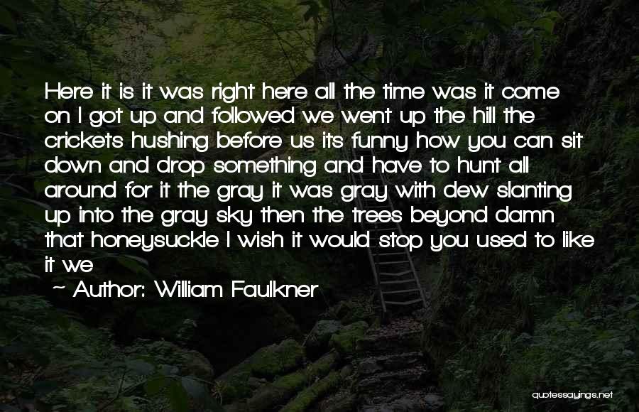 Dew Drop Quotes By William Faulkner