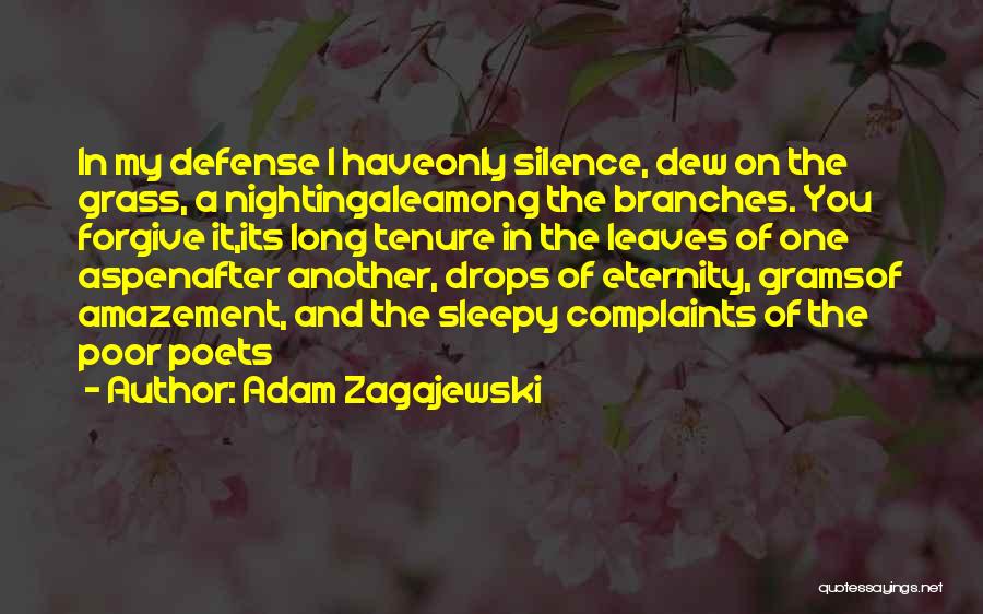 Dew Drops Quotes By Adam Zagajewski