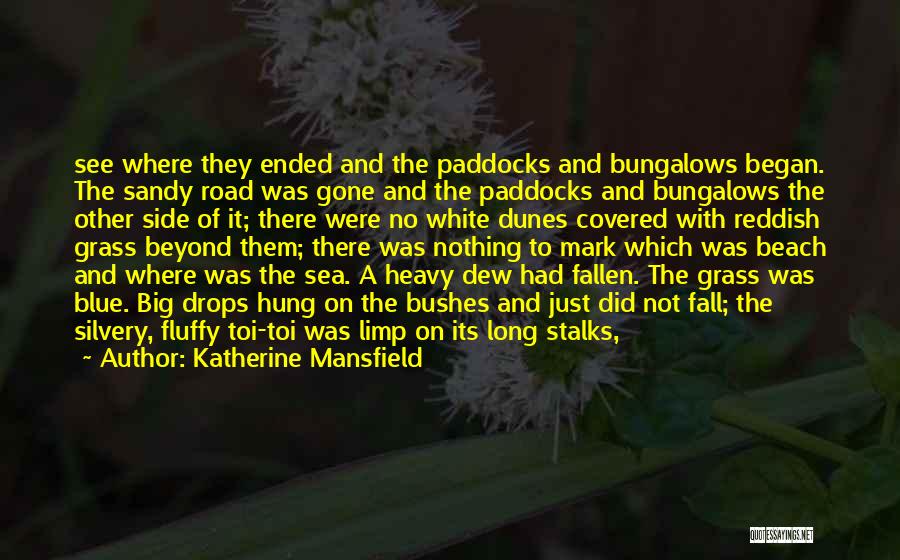 Dew Drops Quotes By Katherine Mansfield