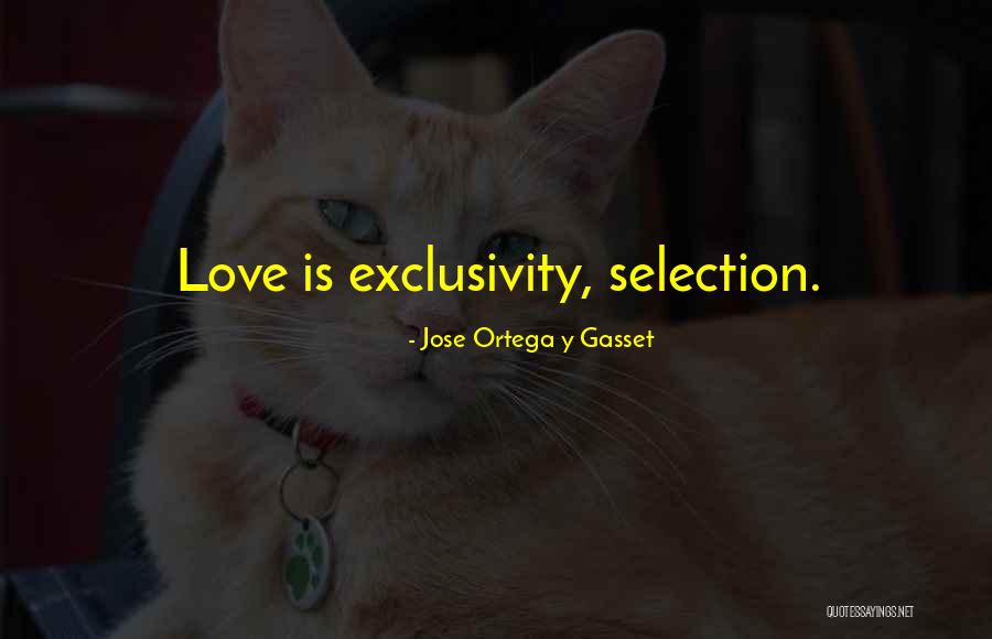 Dewaine Koetz Quotes By Jose Ortega Y Gasset Dewaine Koetz Quotes By Jose Ortega Y Gasset