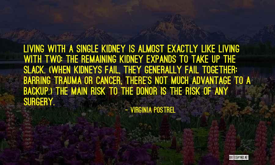 Dewani Quotes By Virginia Postrel Dewani Quotes By Virginia Postrel