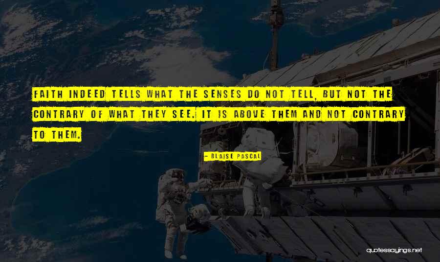 Dewesoft Quotes By Blaise Pascal Dewesoft Quotes By Blaise Pascal
